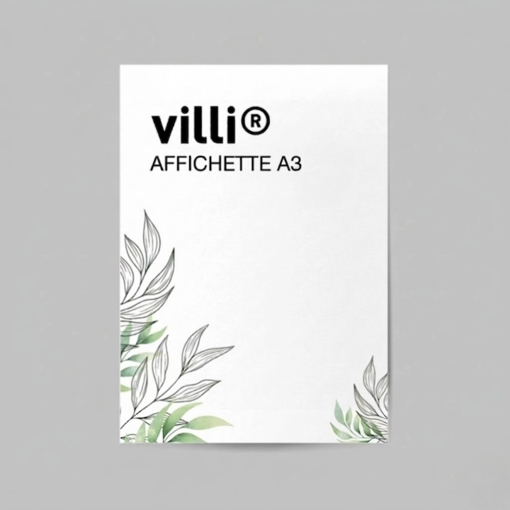 Affichette A3 297x420mm