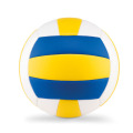 Ballon de volley Multicolore