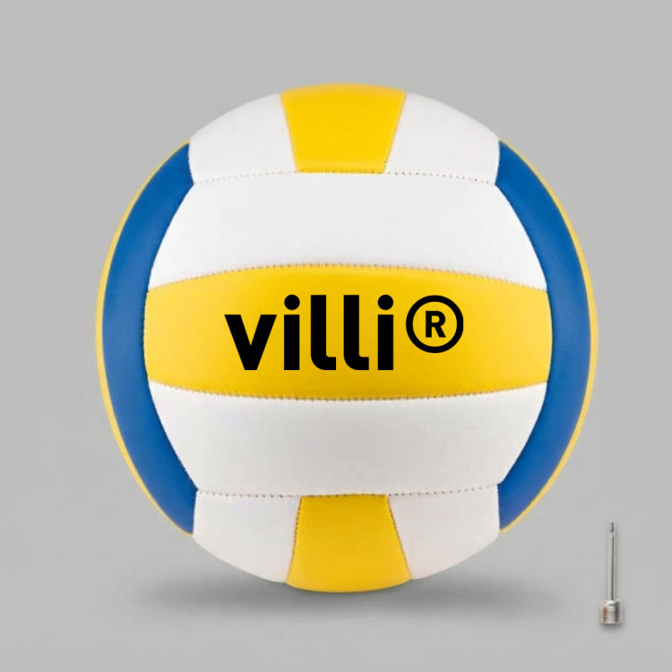 Ballon de volley Multicolore