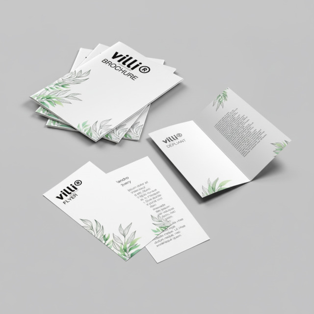 Brochures flyers  dépliants