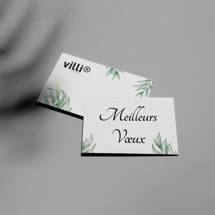 Carte de vœux (21x10cm)