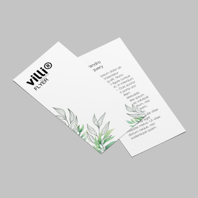 Flyer 100x210mm