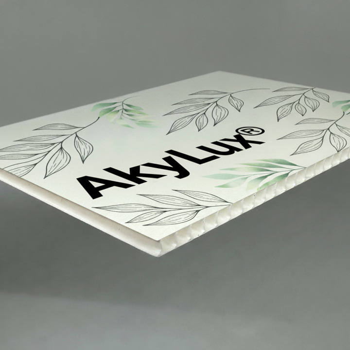 Panneau AkyLux® alvéolaire