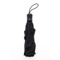 Parapluie de poche