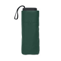 Parapluie temp&ecirc;te de 19" Vert