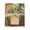 Porte-bougies de No&euml;l Vert
