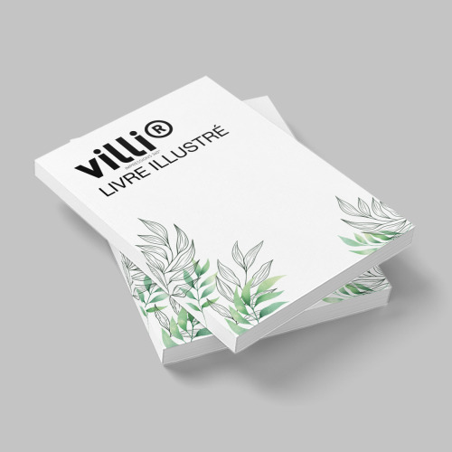 Roman et livre illustré