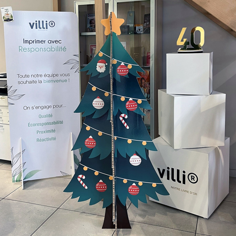 Sapin Noël Carton