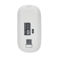 Souris sans fil rechargeable Blanc