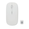 Souris sans fil rechargeable Blanc